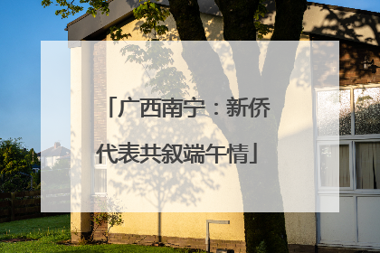 广西南宁：新侨代表共叙端午情