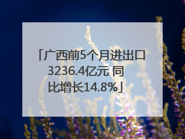 广西前5个月进出口3236.4亿元 同比增长14.8%