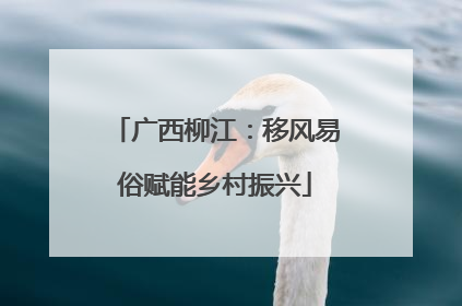 广西柳江：移风易俗赋能乡村振兴