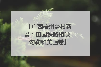 广西梧州乡村新景：田园铁路相映 勾勒和美画卷