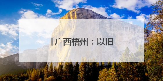 广西梧州：以旧换新汽车销售旺
