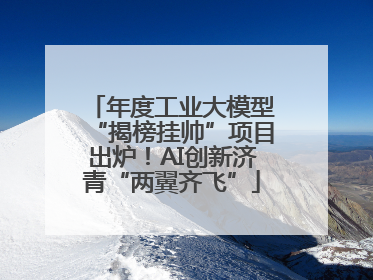 年度工业大模型“揭榜挂帅”项目出炉！AI创新济青“两翼齐飞”
