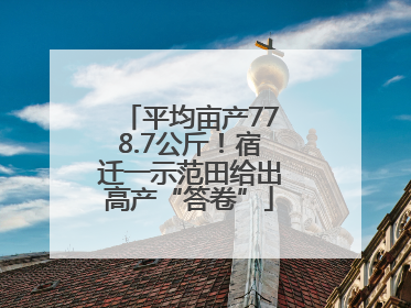 平均亩产778.7公斤！宿迁一示范田给出高产“答卷”