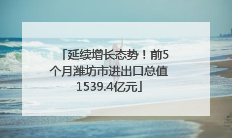 延续增长态势！前5个月潍坊市进出口总值1539.4亿元