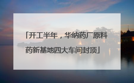 开工半年，华纳药厂原料药新基地四大车间封顶