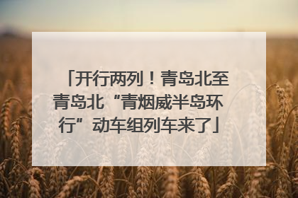 开行两列！青岛北至青岛北“青烟威半岛环行”动车组列车来了