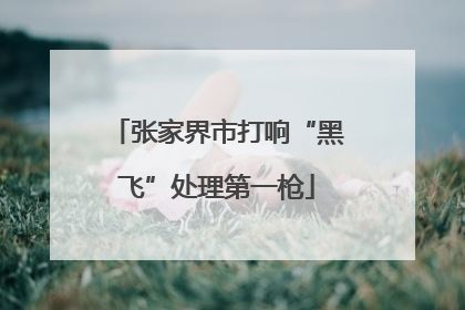 张家界市打响“黑飞”处理第一枪