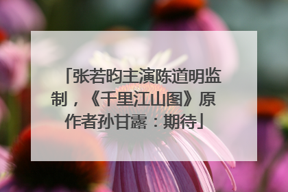 张若昀主演陈道明监制，《千里江山图》原作者孙甘露：期待