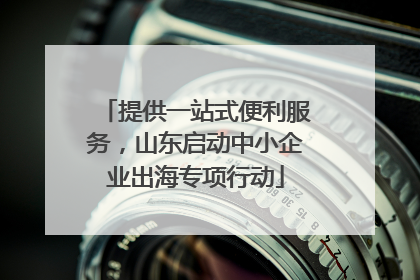 提供一站式便利服务，山东启动中小企业出海专项行动