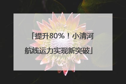 提升80％！小清河航线运力实现新突破