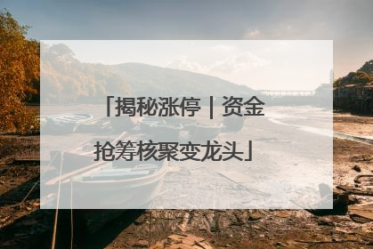 揭秘涨停｜资金抢筹核聚变龙头