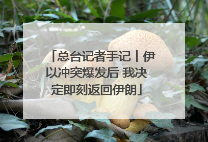 总台记者手记丨伊以冲突爆发后 我决定即刻返回伊朗