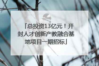 总投资13亿元！开封人才创新产教融合基地项目一期招标