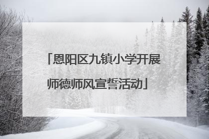 恩阳区九镇小学开展师德师风宣誓活动