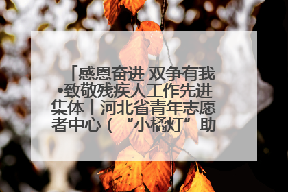 感恩奋进 双争有我•致敬残疾人工作先进集体丨河北省青年志愿者中心（“小橘灯”助残接力计划实施团队）：用温暖陪伴，守护特殊孩子成长