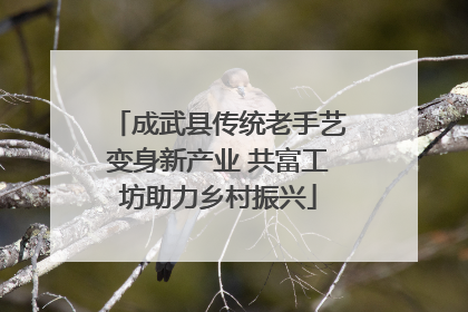 成武县传统老手艺变身新产业 共富工坊助力乡村振兴