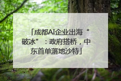 成都AI企业出海“破冰”：政府搭桥，中东首单落地沙特