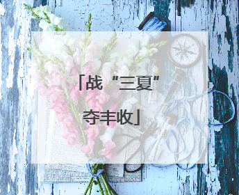 战“三夏” 夺丰收