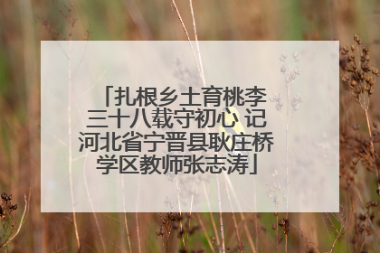 扎根乡土育桃李 三十八载守初心 记河北省宁晋县耿庄桥学区教师张志涛