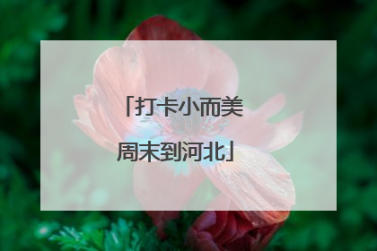 打卡小而美 周末到河北