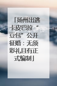 扬州出逃卡皮巴拉“豆包”公开征婚：无须彩礼且有正式编制
