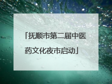 抚顺市第二届中医药文化夜市启动