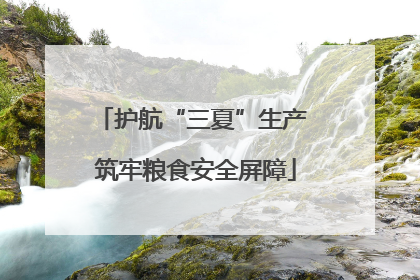 护航“三夏”生产 筑牢粮食安全屏障