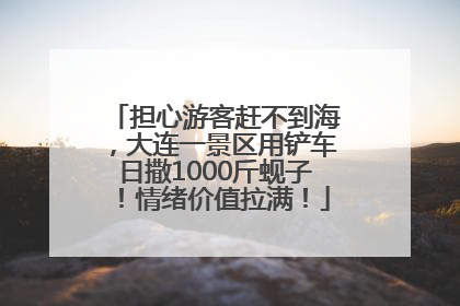 担心游客赶不到海，大连一景区用铲车日撒1000斤蚬子！情绪价值拉满！