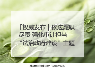 权威发布｜依法履职尽责 强化审计担当 “法治政府建设”主题系列新闻发布会市审计局专场召开