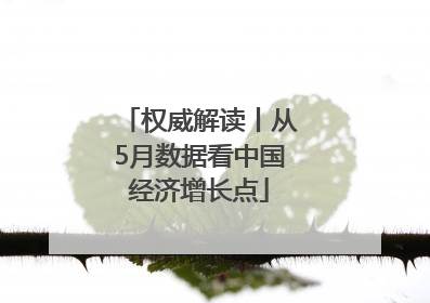 权威解读丨从5月数据看中国经济增长点