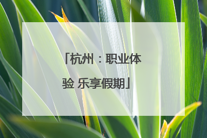 杭州：职业体验 乐享假期