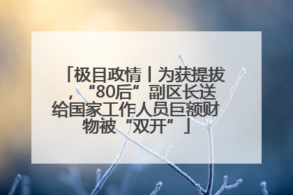 极目政情丨为获提拔，“80后”副区长送给国家工作人员巨额财物被“双开”