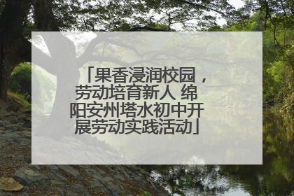 果香浸润校园，劳动培育新人 绵阳安州塔水初中开展劳动实践活动