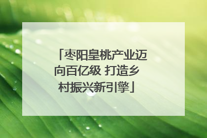 枣阳皇桃产业迈向百亿级 打造乡村振兴新引擎