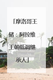 摩洛哥王储：阿拉维王朝低调继承人