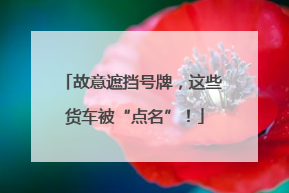 故意遮挡号牌，这些货车被“点名”！