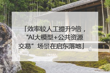 效率较人工提升9倍，“AI大模型+公共资源交易”场景在启东落地
