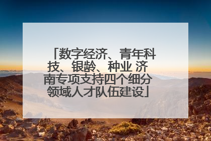 数字经济、青年科技、银龄、种业 济南专项支持四个细分领域人才队伍建设