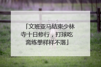 文班亚马结束少林寺十日修行，打球吃斋练拳样样不落