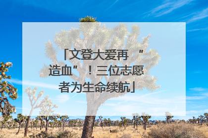 文登大爱再 “造血”！三位志愿者为生命续航
