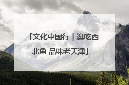 文化中国行｜逛吃西北角 品味老天津