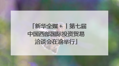新华全媒＋丨第七届中国西部国际投资贸易洽谈会在渝举行