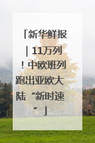 新华鲜报｜11万列！中欧班列跑出亚欧大陆“新时速”