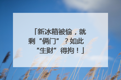 新冰箱被偷，就剩“俩门”？如此“生财”得拘！