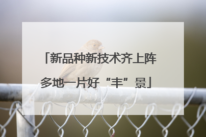 新品种新技术齐上阵 多地一片好“丰”景
