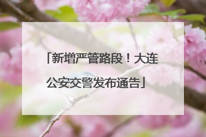 新增严管路段！大连公安交警发布通告