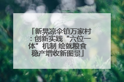 新晃凉伞镇万家村：创新实践“六位一体”机制 绘就粮食稳产增收新图景