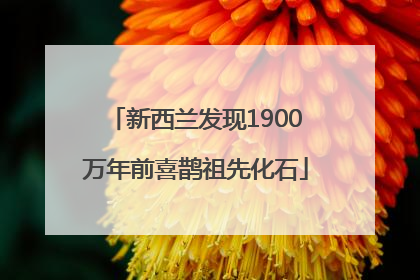 新西兰发现1900万年前喜鹊祖先化石