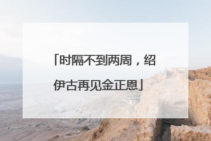 时隔不到两周，绍伊古再见金正恩