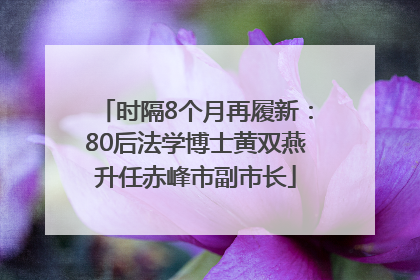 时隔8个月再履新：80后法学博士黄双燕升任赤峰市副市长